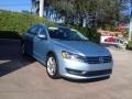 Glacier Blue Metallic 2013 Volkswagen Passat 2.5L SE Exterior