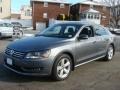 Platinum Gray Metallic - Passat TDI SE Photo No. 3