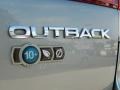 2010 Steel Silver Metallic Subaru Outback 2.5i Limited Wagon  photo #8