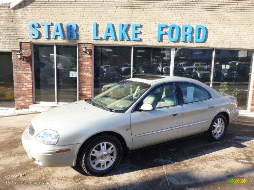 Gold Ash Metallic Mercury Sable