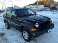 Black Clearcoat - Liberty Sport 4x4 Photo No. 5