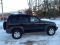 Black Clearcoat - Liberty Sport 4x4 Photo No. 8