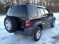 Black Clearcoat - Liberty Sport 4x4 Photo No. 14