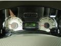Stone Gauges Photo for 2014 Ford Expedition #90134707