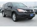 2010 Crystal Black Pearl Honda CR-V EX-L  photo #1