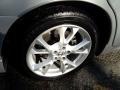 Brilliant Silver - Maxima 3.5 SV Photo No. 7