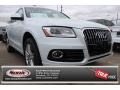 Glacier White Metallic - Q5 2.0 TFSI quattro Photo No. 1