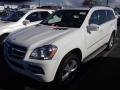 Arctic White - GL 450 4Matic Photo No. 1