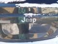2007 Steel Blue Metallic Jeep Compass Sport  photo #5