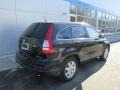 2011 Crystal Black Pearl Honda CR-V SE 4WD  photo #4