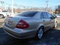 Desert Silver Metallic - E 320 Sedan Photo No. 4