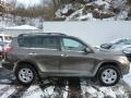 Pyrite Mica - RAV4 I4 4WD Photo No. 10