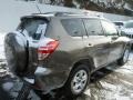 Pyrite Mica - RAV4 I4 4WD Photo No. 14