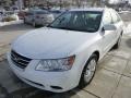 Powder White Pearl - Sonata GLS Photo No. 6