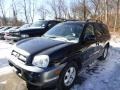 Black Obsidian - Santa Fe GLS 4WD Photo No. 1