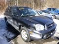 Black Obsidian - Santa Fe GLS 4WD Photo No. 2