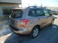 2014 Burnished Bronze Metallic Subaru Forester 2.5i Touring  photo #7