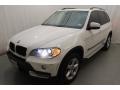 Alpine White - X5 3.0si Photo No. 3