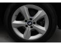 Alpine White - X5 3.0si Photo No. 11