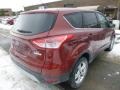 2014 Sunset Ford Escape SE 1.6L EcoBoost  photo #2