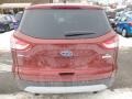 2014 Sunset Ford Escape SE 1.6L EcoBoost  photo #3