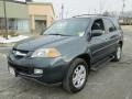 2004 Sagebrush Pearl Acura MDX   photo #2