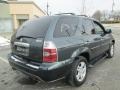 2004 Sagebrush Pearl Acura MDX   photo #7