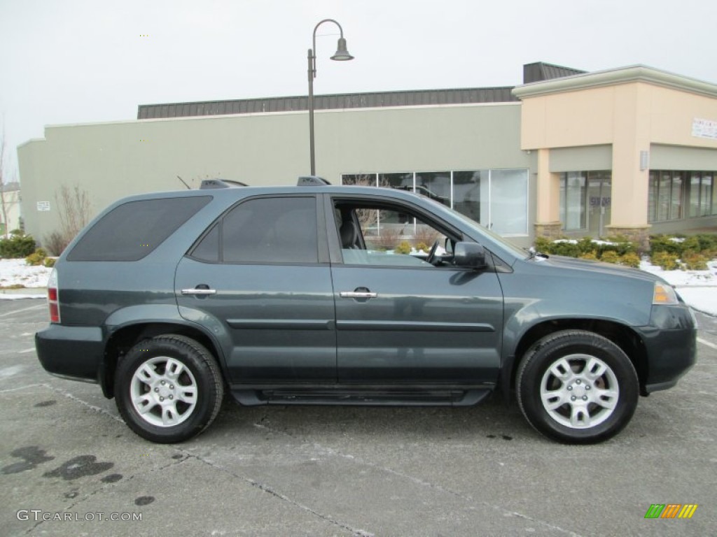 2004 MDX  - Sagebrush Pearl / Quartz photo #9