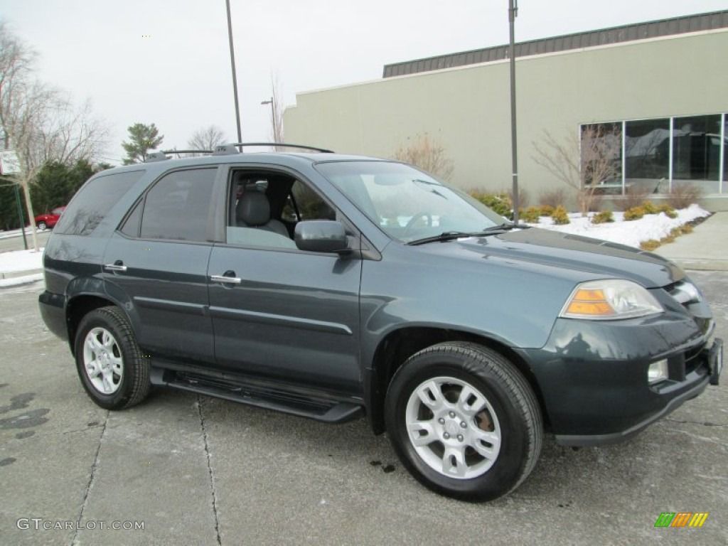 2004 MDX  - Sagebrush Pearl / Quartz photo #10
