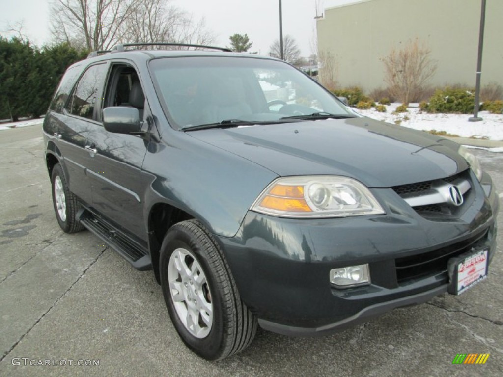 2004 MDX  - Sagebrush Pearl / Quartz photo #11