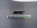 2014 Ingot Silver Ford Escape SE 1.6L EcoBoost  photo #15
