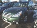 2014 Cypress Green Pearl Subaru Outback 2.5i Limited  photo #1