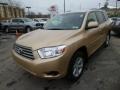 Sandy Beach Metallic - Highlander V6 4WD Photo No. 3