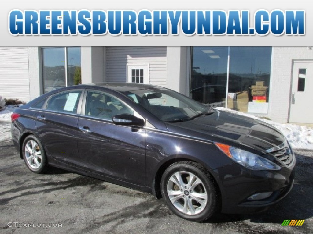 2011 Sonata Limited - Black Plum Pearl / Camel photo #1