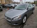 2009 Precision Gray Metallic Nissan Maxima 3.5 SV  photo #3