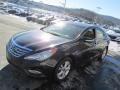 2011 Black Plum Pearl Hyundai Sonata Limited  photo #6