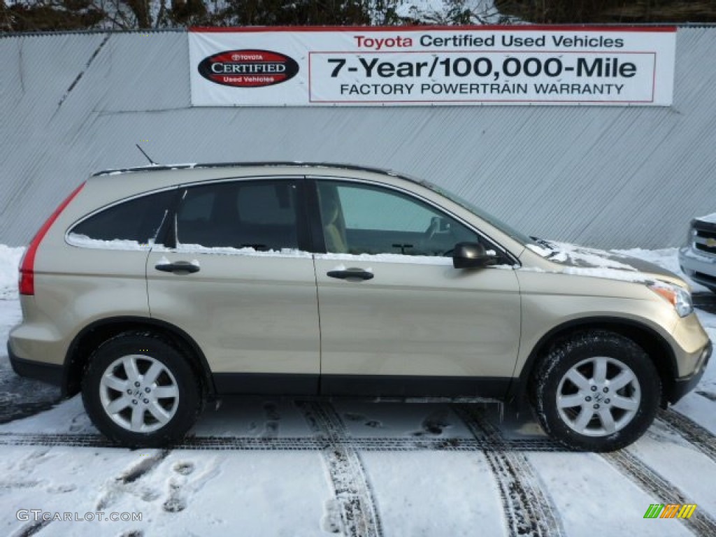 2008 CR-V EX 4WD - Borrego Beige Metallic / Ivory photo #10