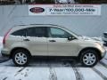 Borrego Beige Metallic - CR-V EX 4WD Photo No. 10