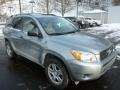 Everglade Metallic 2006 Toyota RAV4 4WD