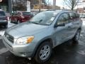 Everglade Metallic 2006 Toyota RAV4 4WD Exterior