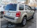 2011 Gold Leaf Metallic Ford Escape XLT  photo #5