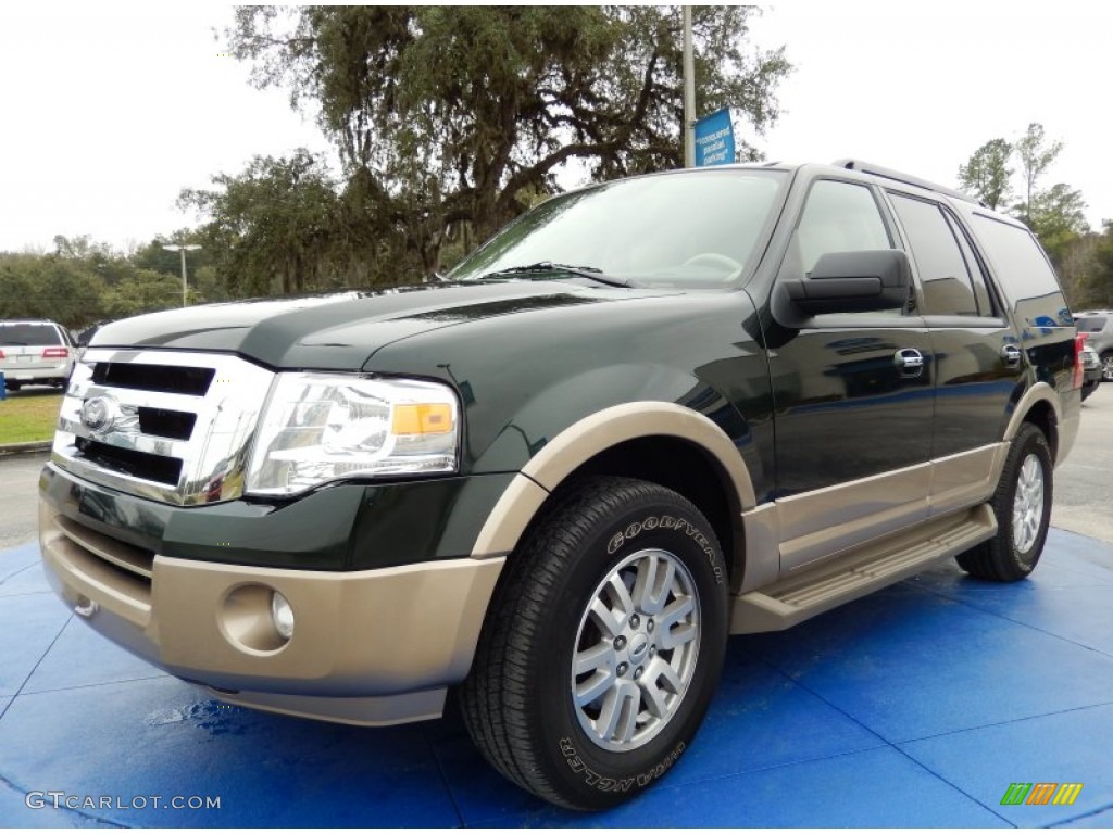 Green Gem Ford Expedition