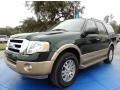 2013 Green Gem Ford Expedition XLT  photo #1
