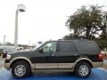 2013 Green Gem Ford Expedition XLT  photo #2