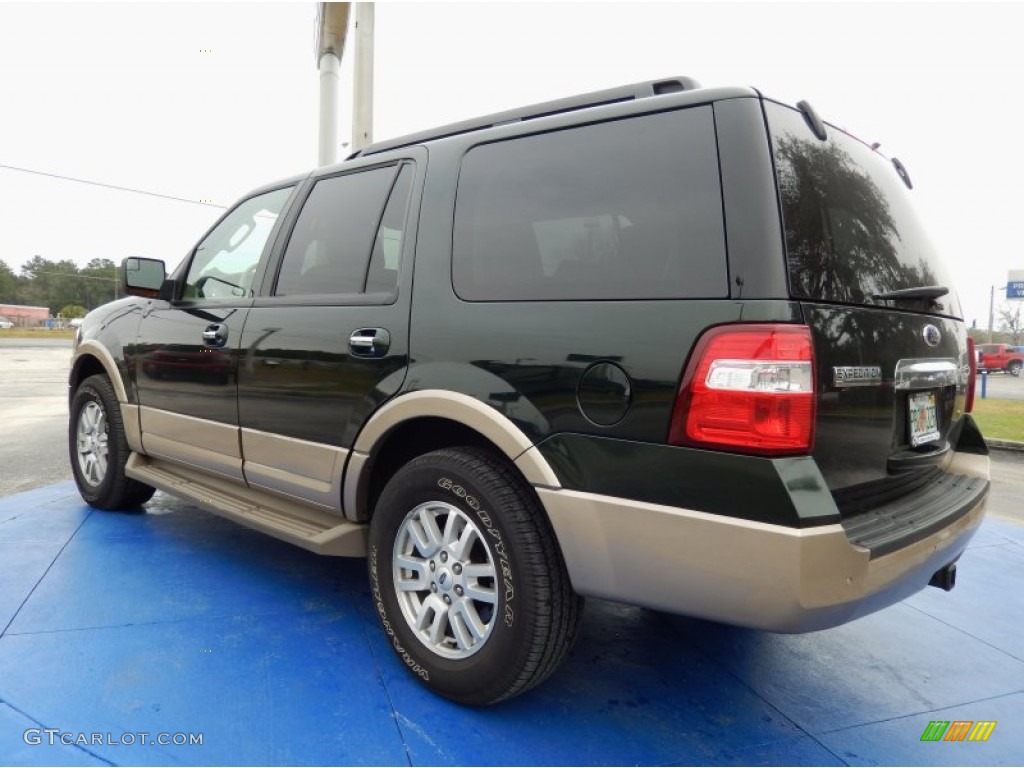 2013 Expedition XLT - Green Gem / Stone photo #3