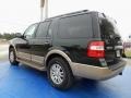 2013 Green Gem Ford Expedition XLT  photo #3