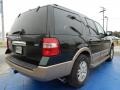 2013 Green Gem Ford Expedition XLT  photo #5