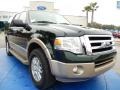 2013 Green Gem Ford Expedition XLT  photo #7