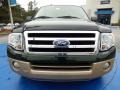 2013 Green Gem Ford Expedition XLT  photo #8