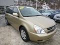 2006 Sunset Gold Kia Sedona LX  photo #7